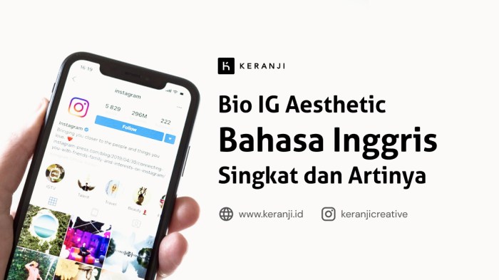 Bio Ig Aesthetic Singkat Bahasa Inggris Dan Artinya