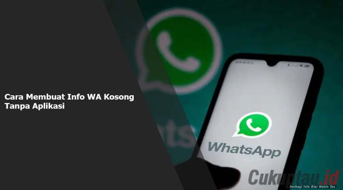 Cara Agar Info Di Wa Kosong