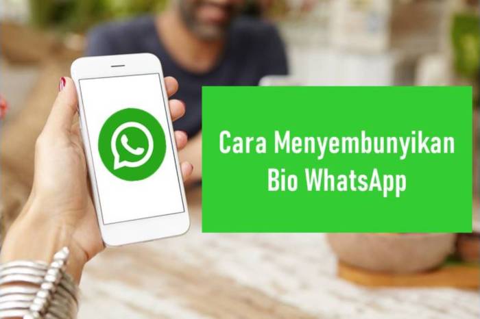 Cara Supaya Bio Wa Kosong