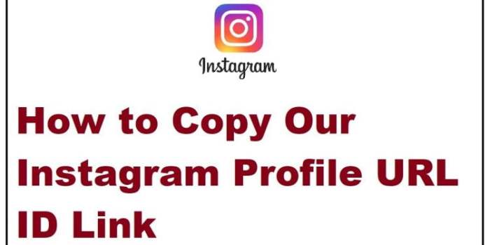 Cara Copy Link Instagram Kita