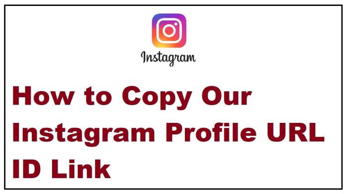 Cara Salin Link Instagram Pribadi