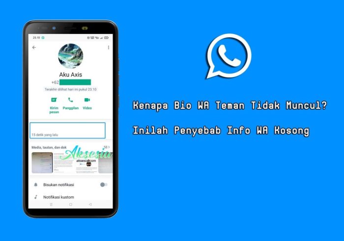 Cara Agar Info Di Wa Kosong