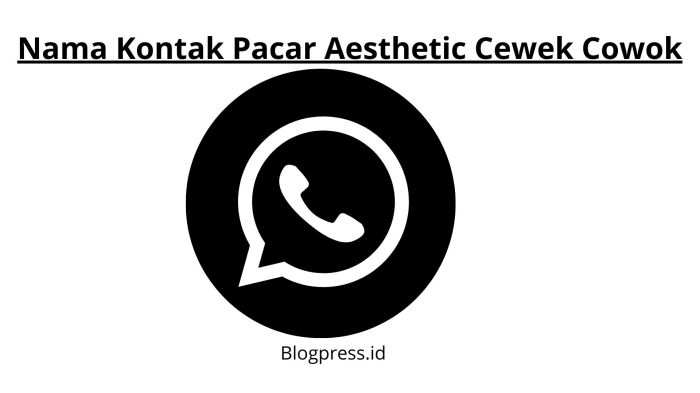 Nama Kontak Untuk Crush Cowok Aesthetic