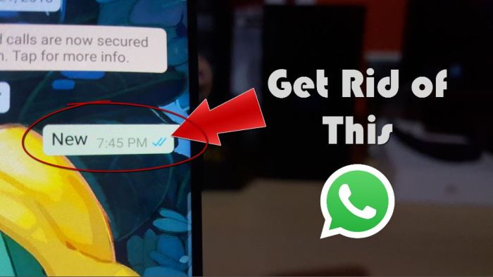 Tick whatsapp blue disable