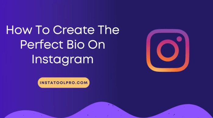 Cara Membuat Bio Blog Pribadi Di Instagram