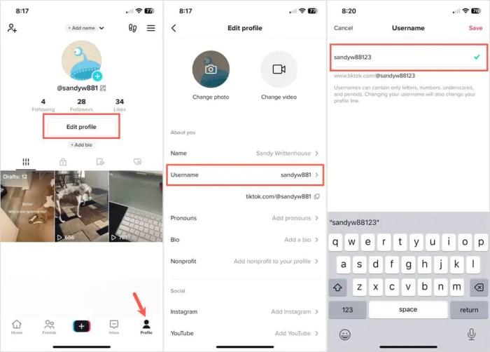 Cara Membuat Nama Tiktok Tanpa Angka