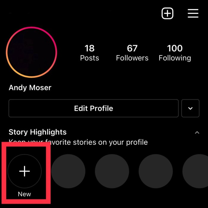 Blank Instagram Highlight Name Copy And Paste