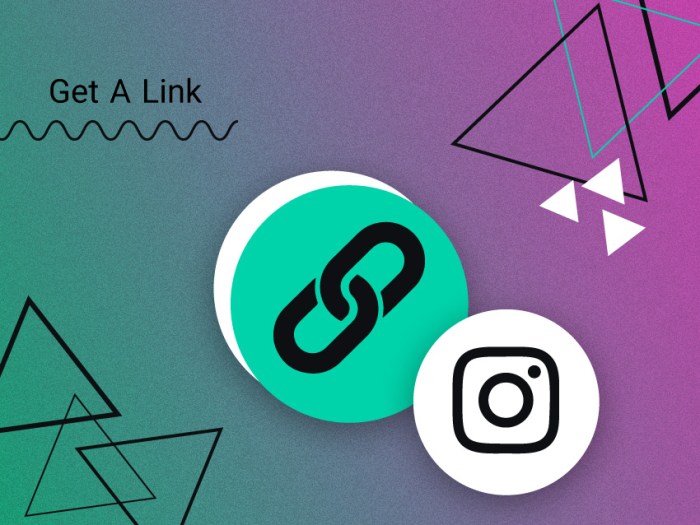 Cara Ambil Link Akun Instagram