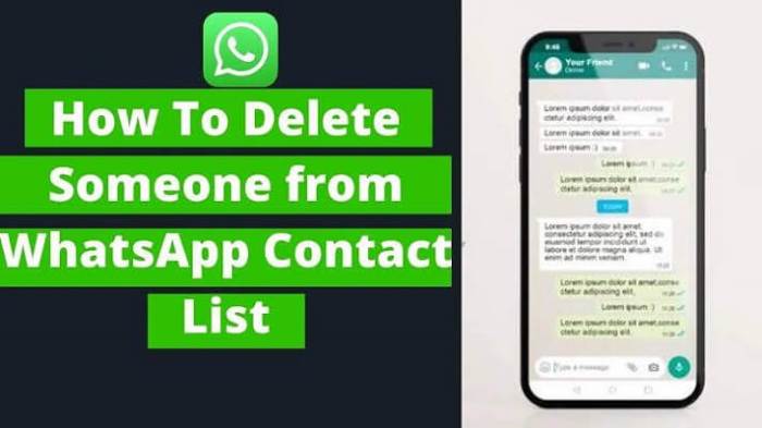 Cara Menghapus Kontak Whatsapp Dengan Cepat