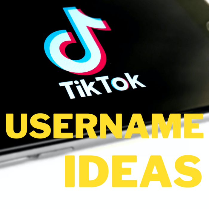 Cara Membuat Nama Tiktok Keren